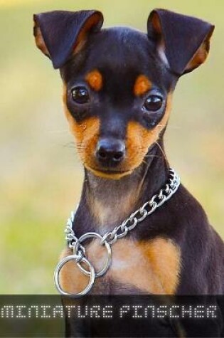 Cover of Miniature Pinscher