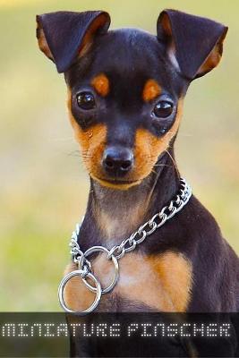 Book cover for Miniature Pinscher