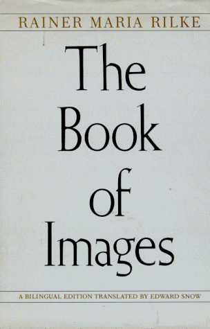 Book cover for The Book of Images