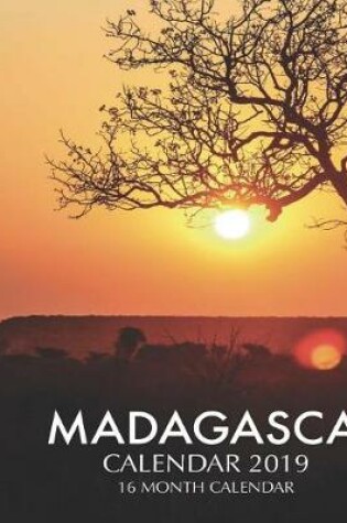 Cover of Madagascar Calendar 2019
