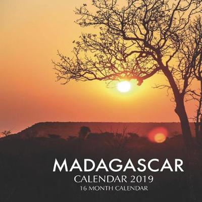 Book cover for Madagascar Calendar 2019
