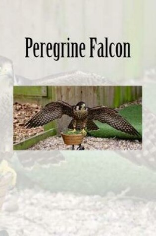 Cover of Peregrine Falcon