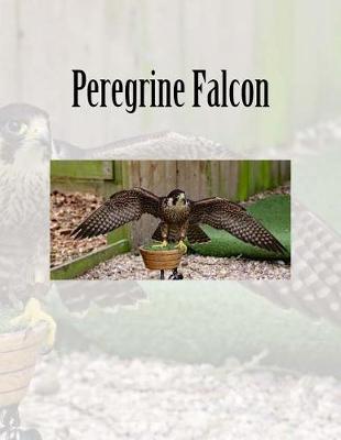 Book cover for Peregrine Falcon