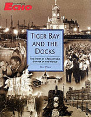 Book cover for Tiger Bay and the Docks