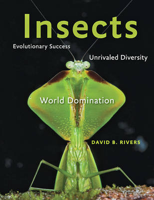 Book cover for Insects