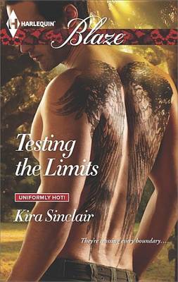 Book cover for Testing the Limits