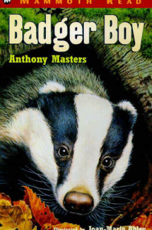 Cover of Badger Boy