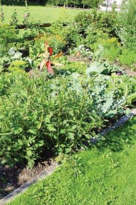 Book cover for Gardening Log Book - The Allotment