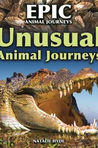 Cover of Unusual Animal Journeys