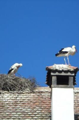 Cover of Storks on Baby Delivery Service, Birds of the World