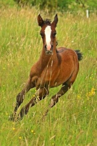 Cover of Sweet Brown Foal with White Markings Baby Horse Journal