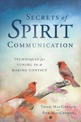 Book cover for Secrets of Spirit Communication