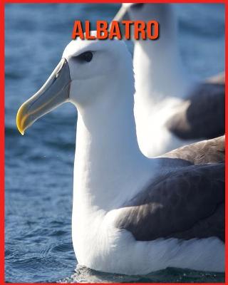 Book cover for Albatro