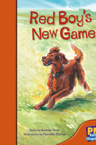 Cover of Red Boy's New Game