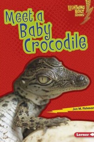 Cover of Meet a Baby Crocodile