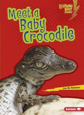 Book cover for Meet a Baby Crocodile