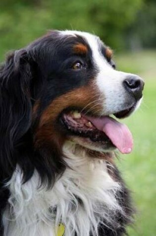 Cover of Bernese Mountain Dog Portrait Journal