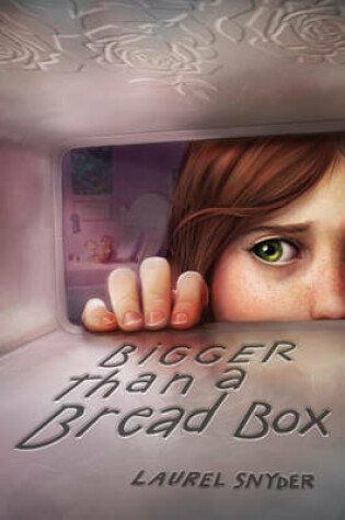 Cover of Bigger Than a Bread Box