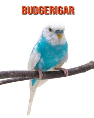 Book cover for Budgerigar