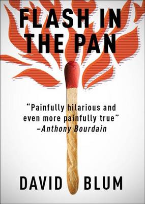 Book cover for Flash in the Pan