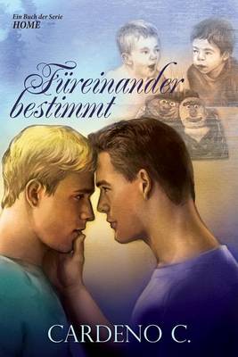 Book cover for Fureinander Bestimmt