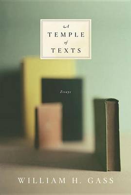 Book cover for A Temple of Texts