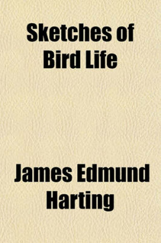 Cover of Sketches of Bird Life