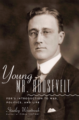 Book cover for Young Mr. Roosevelt