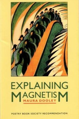 Cover of Explaining Magnetism