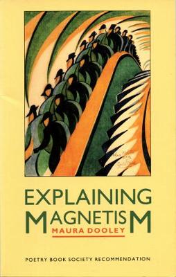 Book cover for Explaining Magnetism