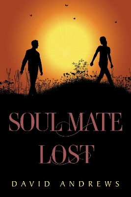 Book cover for Soul Mate Lost