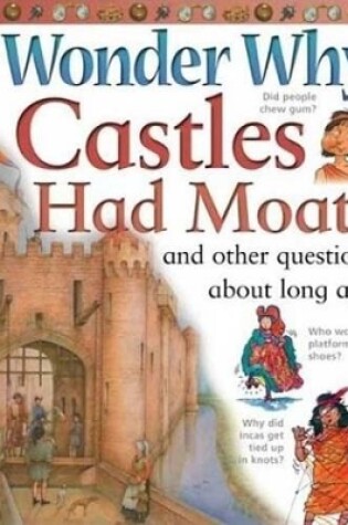 Cover of I Wonder Why Castles Had Moats