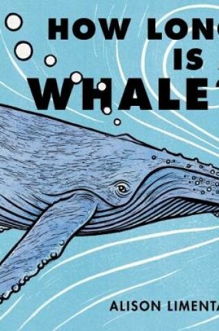 Cover of How Long is a Whale?