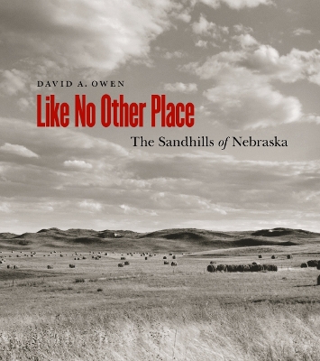 Book cover for Like No Other Place