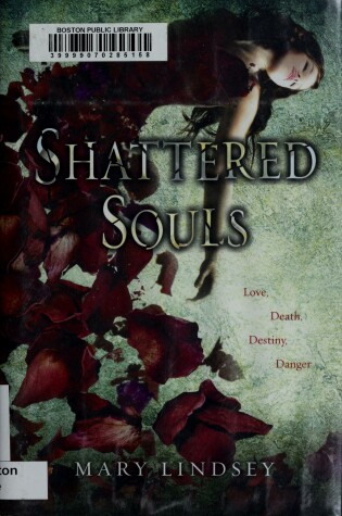 Book cover for Shattered Souls