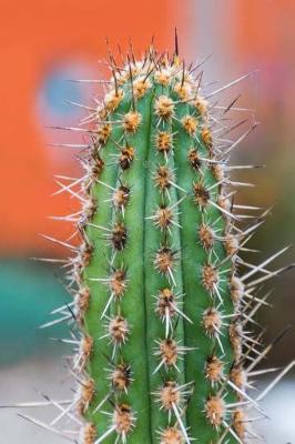 Book cover for Green Cactus Succulent Journal