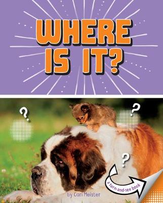 Book cover for Where Is It