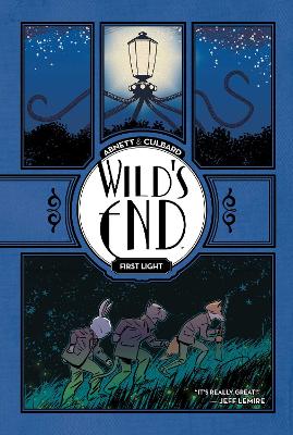 Book cover for Wild's End