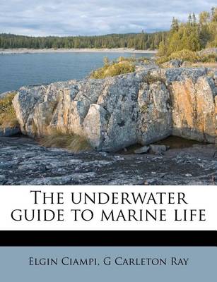 Book cover for The Underwater Guide to Marine Life