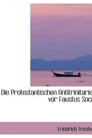 Cover of Die Protestantischen Antitrinitarier VOR Faustus Socin