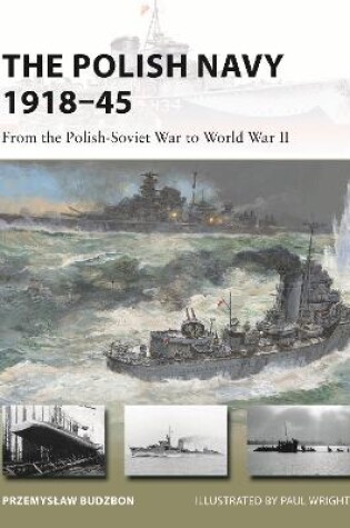 Cover of The Polish Navy 1918–45