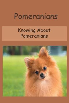 Book cover for Pomeranians