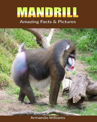 Cover of Mandrill