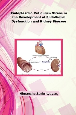 Cover of Endoplasmic Reticulum Stress in the Development of Endothelial Dysfunction and Kidney Disease