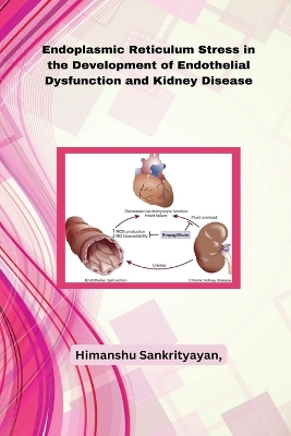 Book cover for Endoplasmic Reticulum Stress in the Development of Endothelial Dysfunction and Kidney Disease