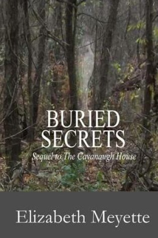 Cover of Buried Secrets