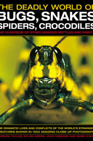Cover of The Deadly World of Bugs, Snakes, Spiders, Crocodiles and Hundreds of Other Amazing Reptiles and Insects