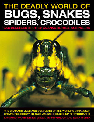 Book cover for The Deadly World of Bugs, Snakes, Spiders, Crocodiles and Hundreds of Other Amazing Reptiles and Insects