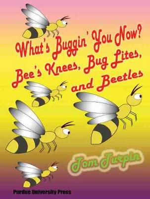 Book cover for What's Buggin' You Now?