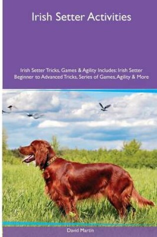 Cover of Irish Setter Activities Irish Setter Tricks, Games & Agility. Includes